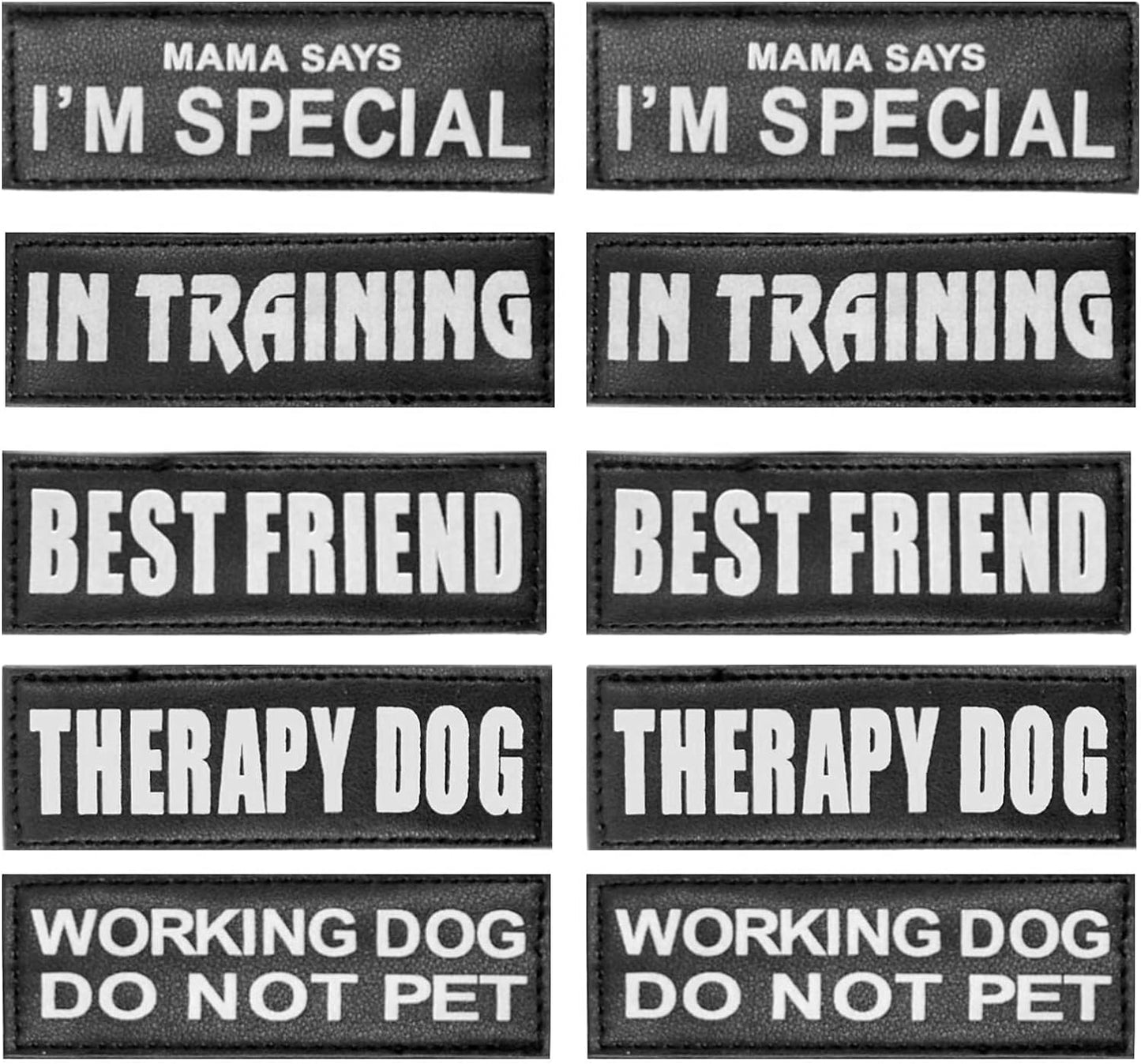 Service Dog Patch 10 Pieces, Dog Vest Patches Service Dog in Training Patches, Reflective and Removable Dog Harness Patches for Service Dog Vest