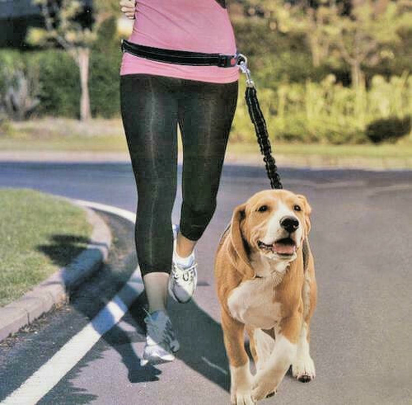 Pet Trends Hands Free Shock Absorbing Running Jogging Leash Model B336-2 Black