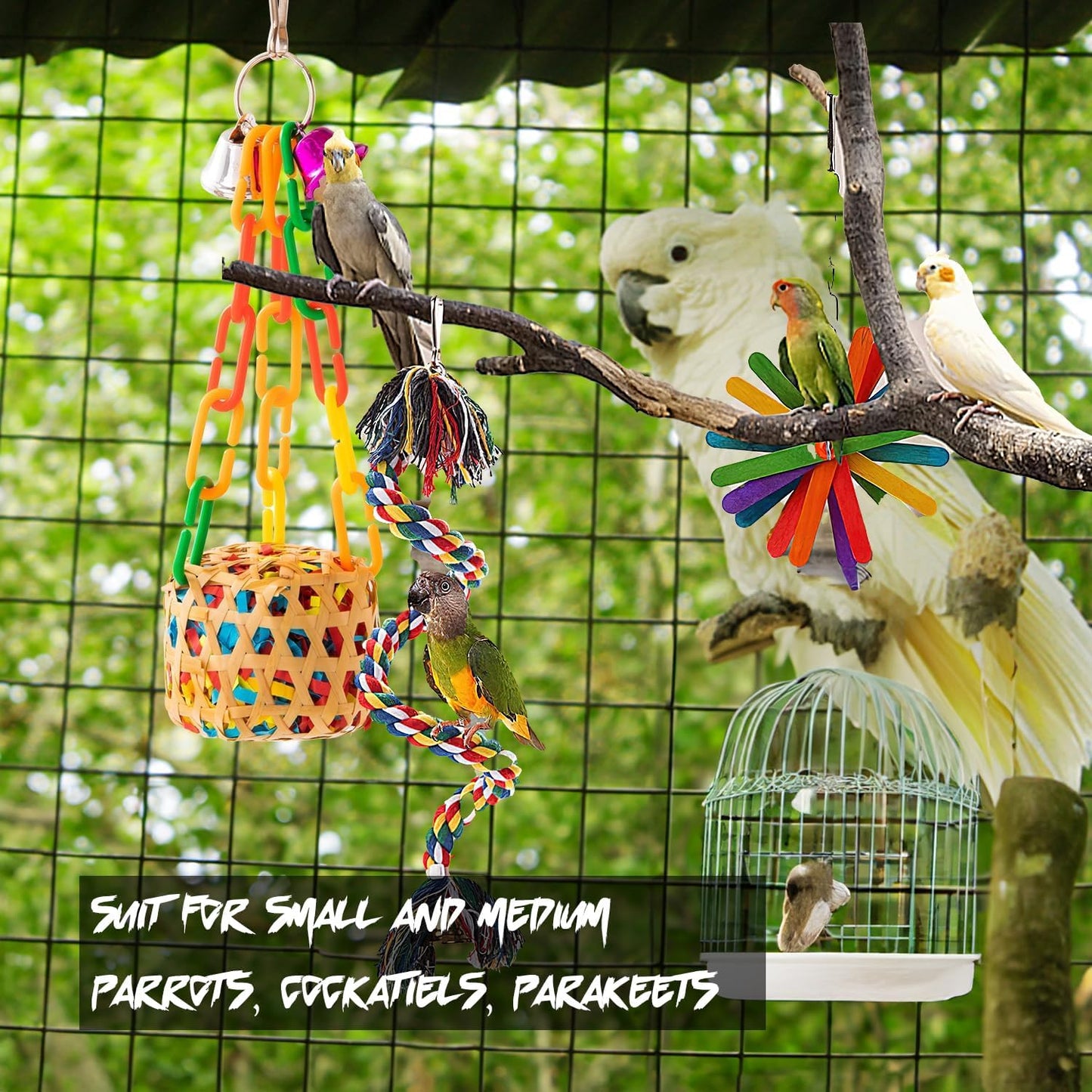 6 Pcs Bird Toys for Parakeet, Parrot & Conure Delights- Featuring Foraging and Chewing Delights, Large Bird Accessories, and Unique Cage Perches for a Joyful Aviary