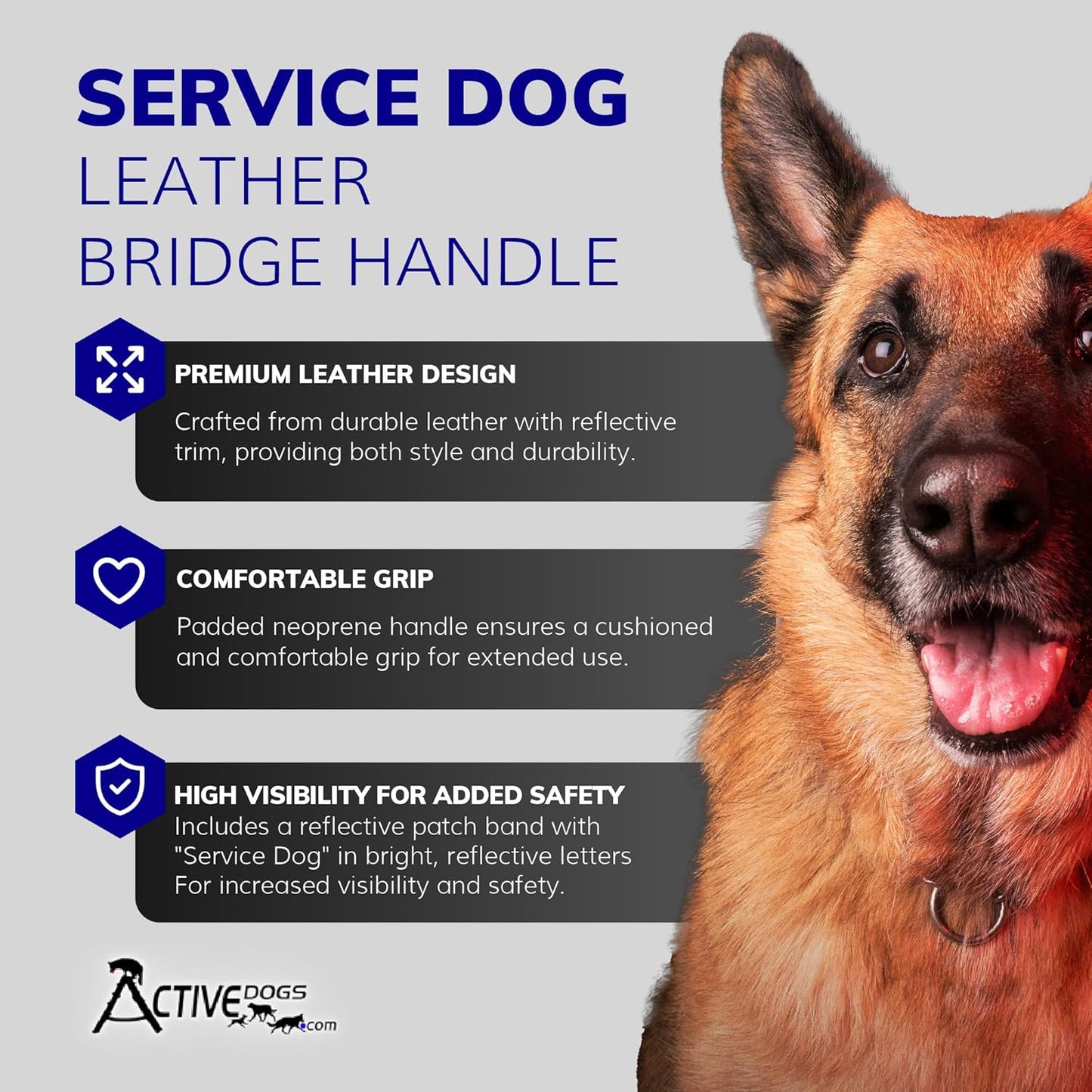 Activedogs Leather Bridge Handle - 12" Solid Steel & Leather Service Dog Handle with Easy Snap-On Clips, Reflective ID Band & Neoprene Padded Grip
