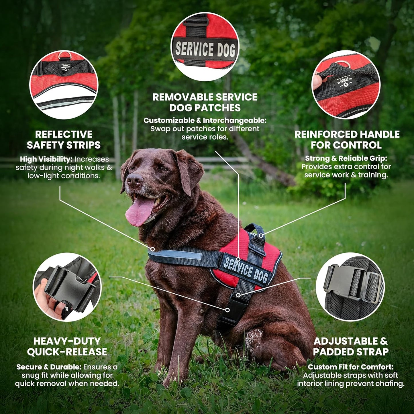Service Dog Vest with Hook and Loop Straps & Matching Leash Set - Harnesses from XXS to XXL - Service Dog Harness Features Reflective Patch and Comfortable Mesh Design