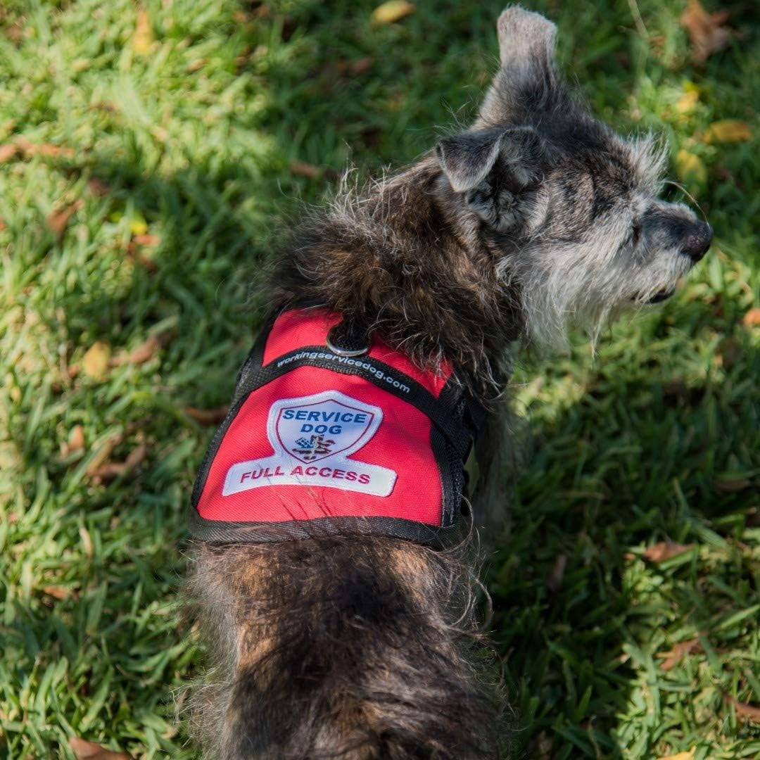Premium Service Dog Mesh Full Access Vest (9 - 13" Girth, Red) - Includes Five Service Dog Law Handout Cards