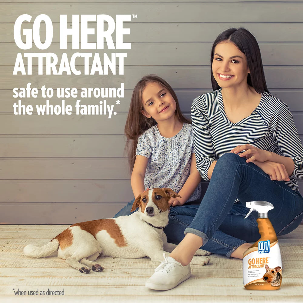 Petcare Go Here Potty Training Attractant Spray, 32Oz.