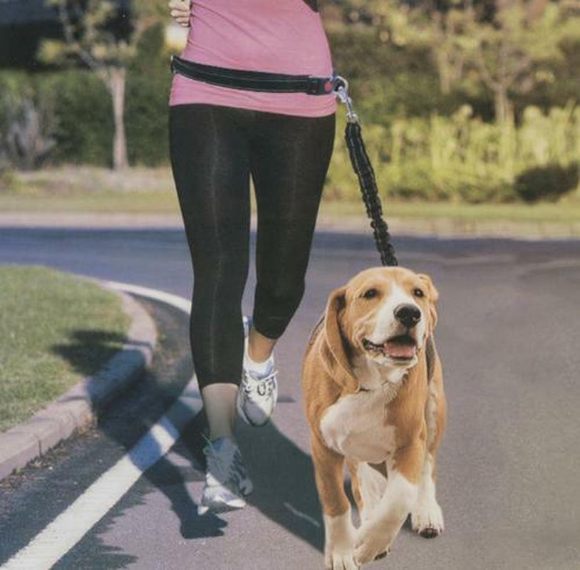 Pet Trends Hands Free Shock Absorbing Running Jogging Leash Model B336-2 Black