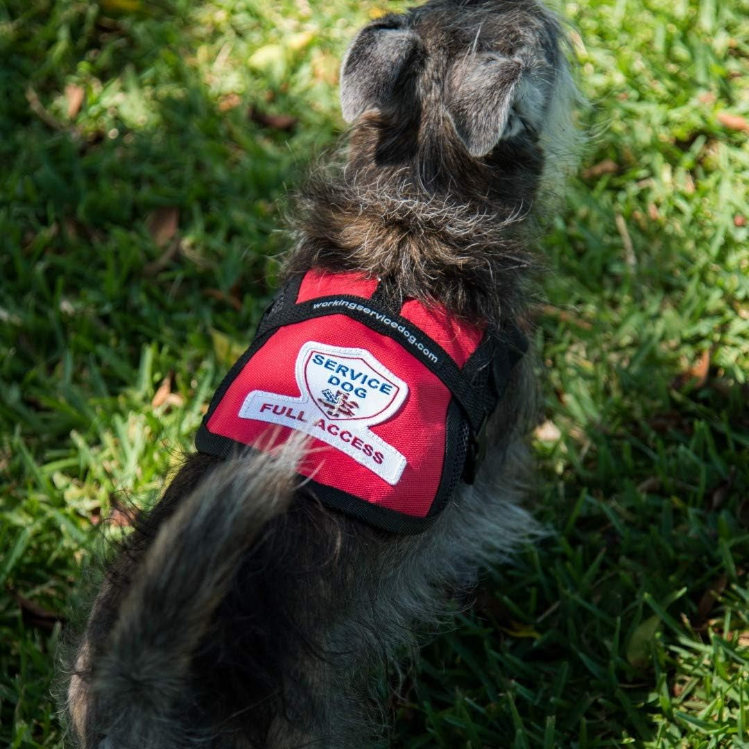 Premium Service Dog Mesh Full Access Vest (9 - 13" Girth, Red) - Includes Five Service Dog Law Handout Cards