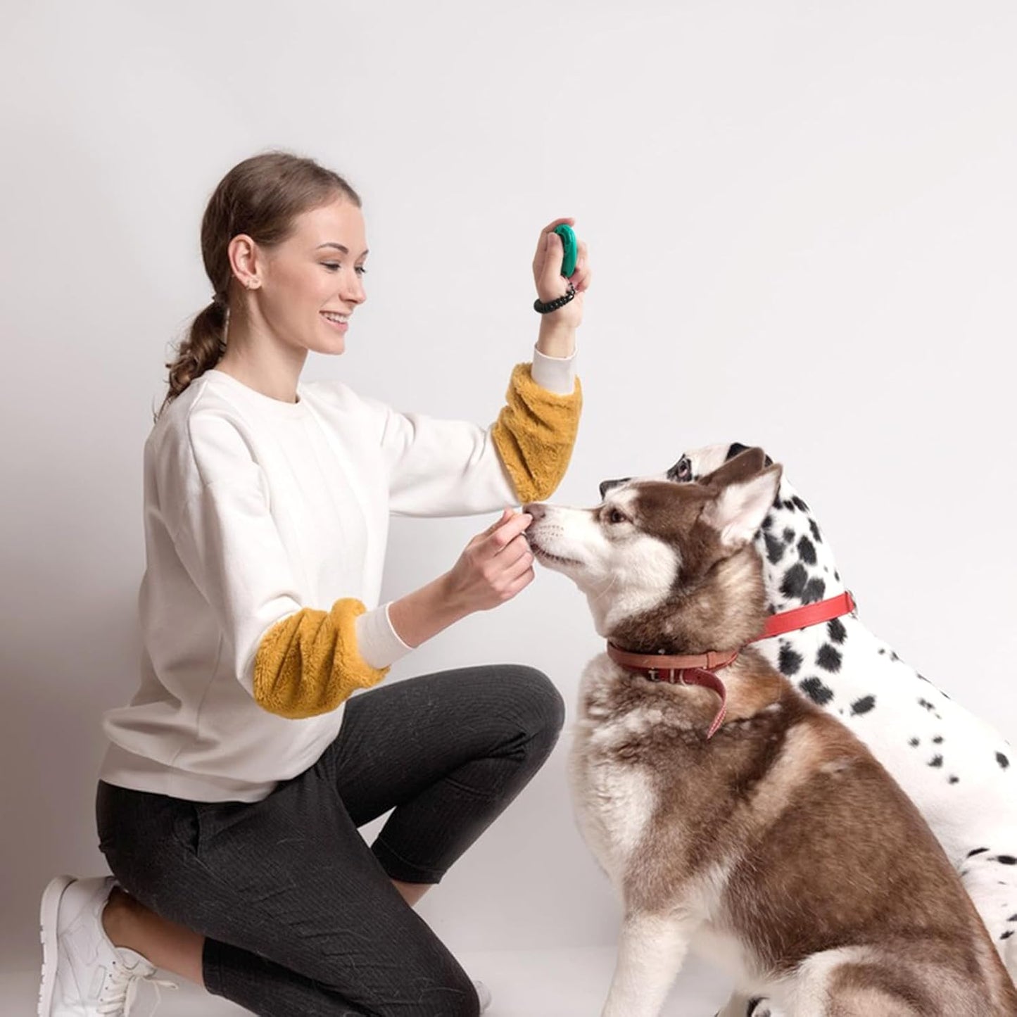 2Pcs Dog Training Clickers with Wrist Strap and Clasp, Lightweight Durable Pet Trainer Clear Sound Pup Training Clicker for Dog Puppy Cat, Gift for Pet Lovers (Black + Green)