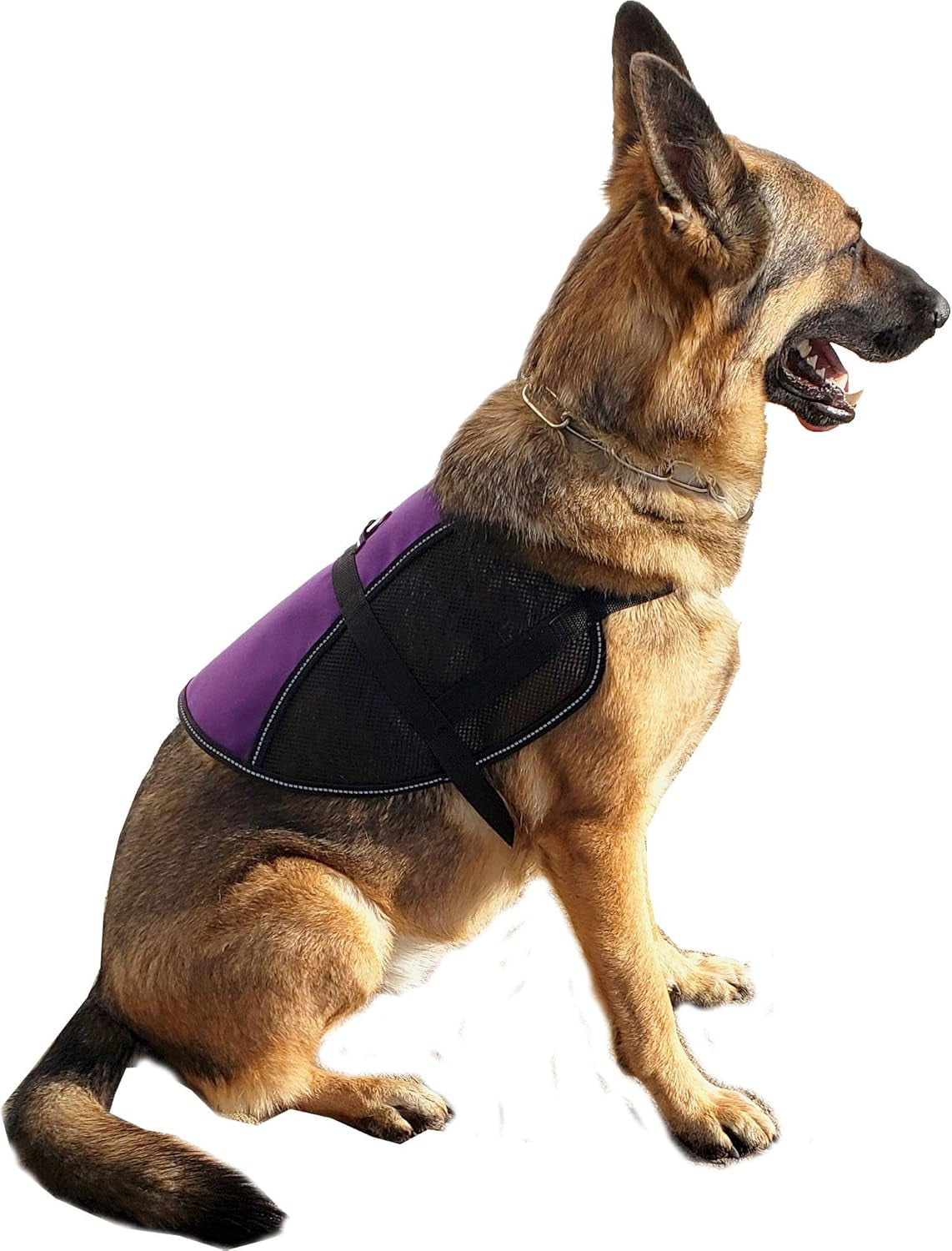 Activedogs Service Dog Hybrid Mesh Vest W/Hook & Loop Patch - Lightweight & Breathable Harness - Small Girth 20"-25", Red