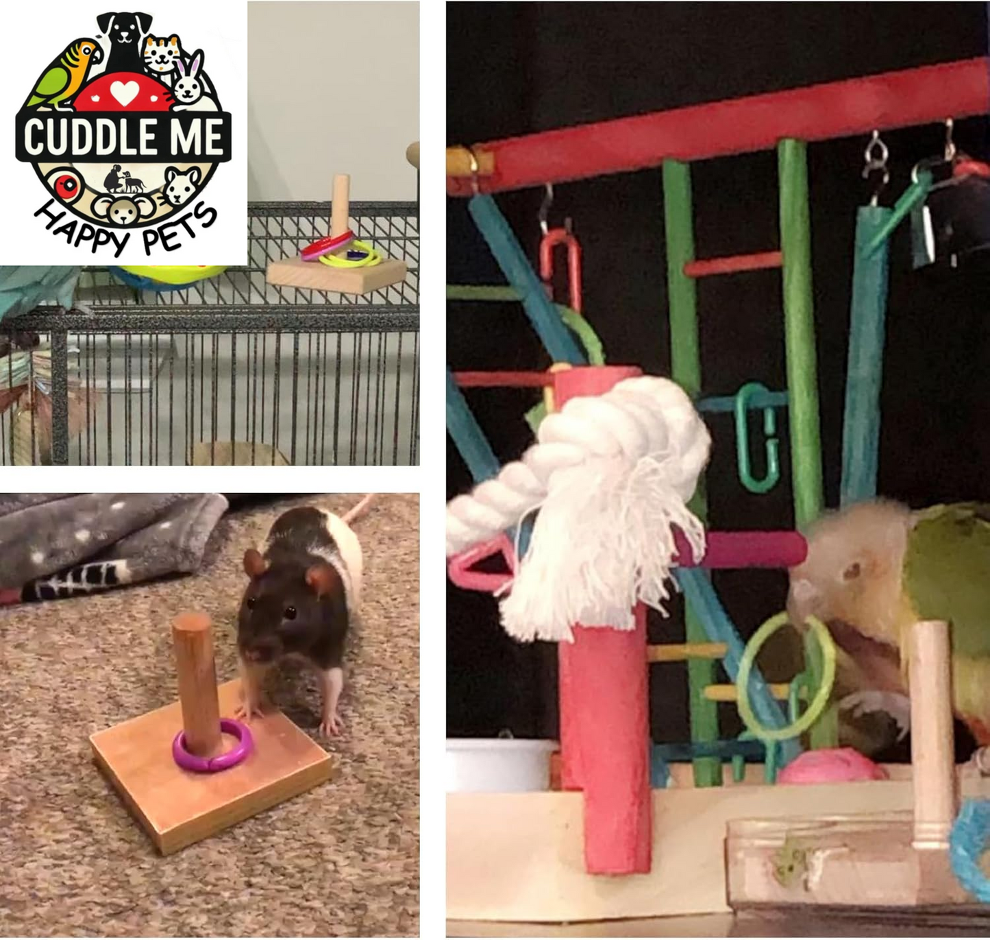 Bird Training Ring Toy, Parrot Trick Tabletop Toys, Bird Educational Toys, Stacking Color Rings,Bird Cage Toys