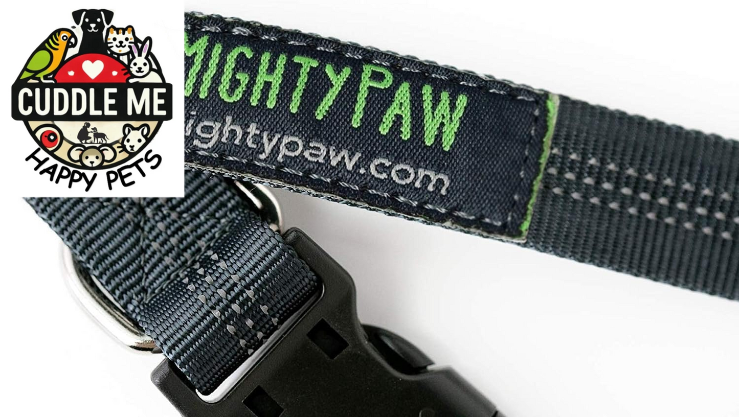 Hands Free Dog Leash | Bungee Waist Leash for Dog Walking. Pet Running Hands Free Tether for Large, Medium & Small Breeds. Pet Waist Belt (36" - 48") up to 150 Lbs - Gray