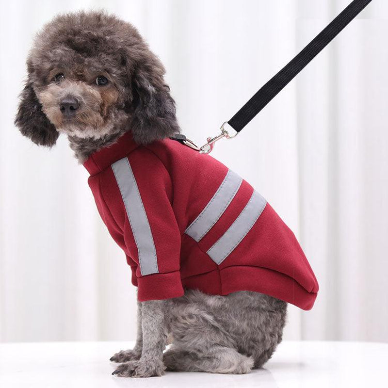 Pet Apparel