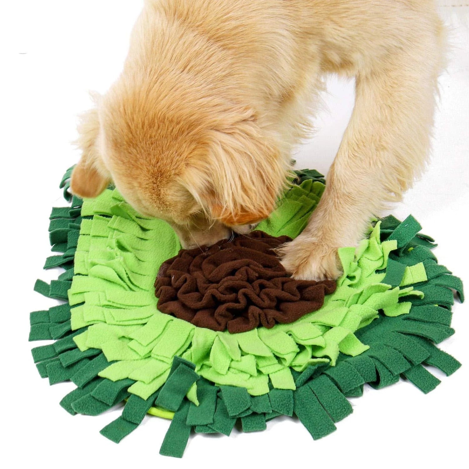 Pet Feeder, Water, Lick Mats and more