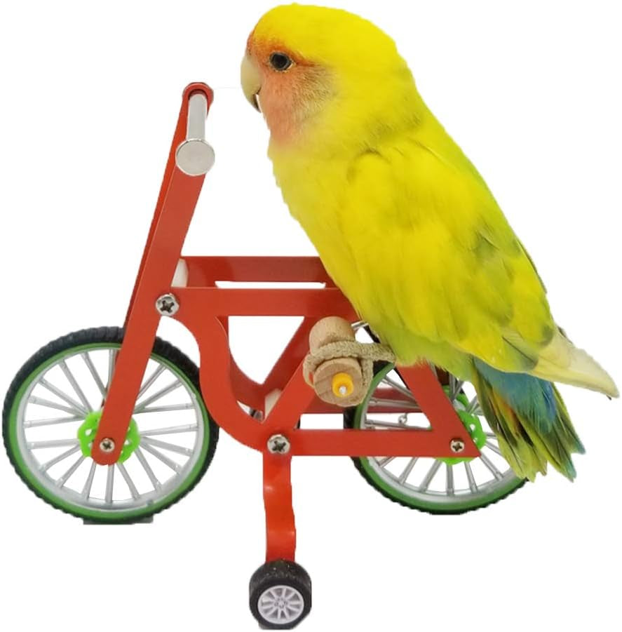 Bird Intelligence Training Toy，Parrot Puzzle Bicycle Toy for Small Medium Bird，Parrot Educational Table Top Trick Prop Toy，Bird Foot Talon Toy for African Grey Cockatoo Eclectus Conures