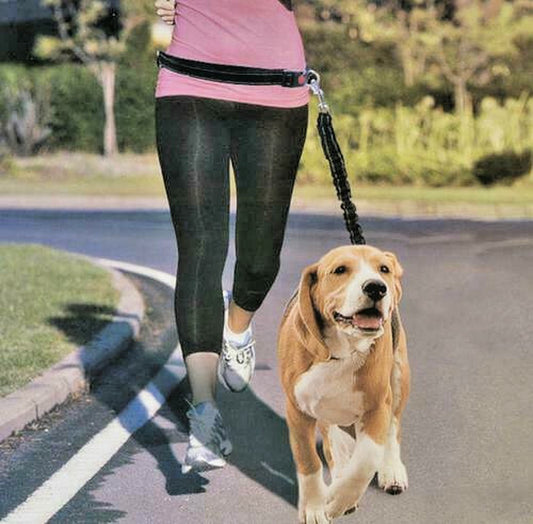 Pet Trends Hands Free Shock Absorbing Running Jogging Leash Model B336-2 Black