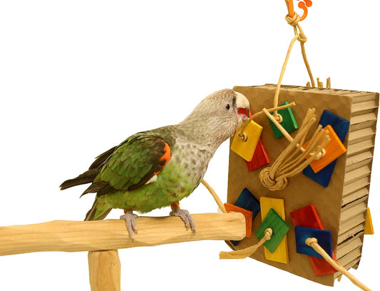 Cardboard Shreddy Toy for Parrots (Choose a Size) (Medium)