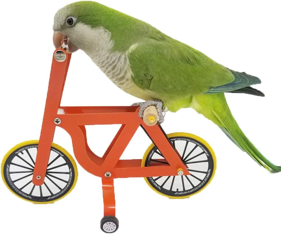 Bird Intelligence Training Toy，Parrot Puzzle Bicycle Toy for Small Medium Bird，Parrot Educational Table Top Trick Prop Toy，Bird Foot Talon Toy for African Grey Cockatoo Eclectus Conures