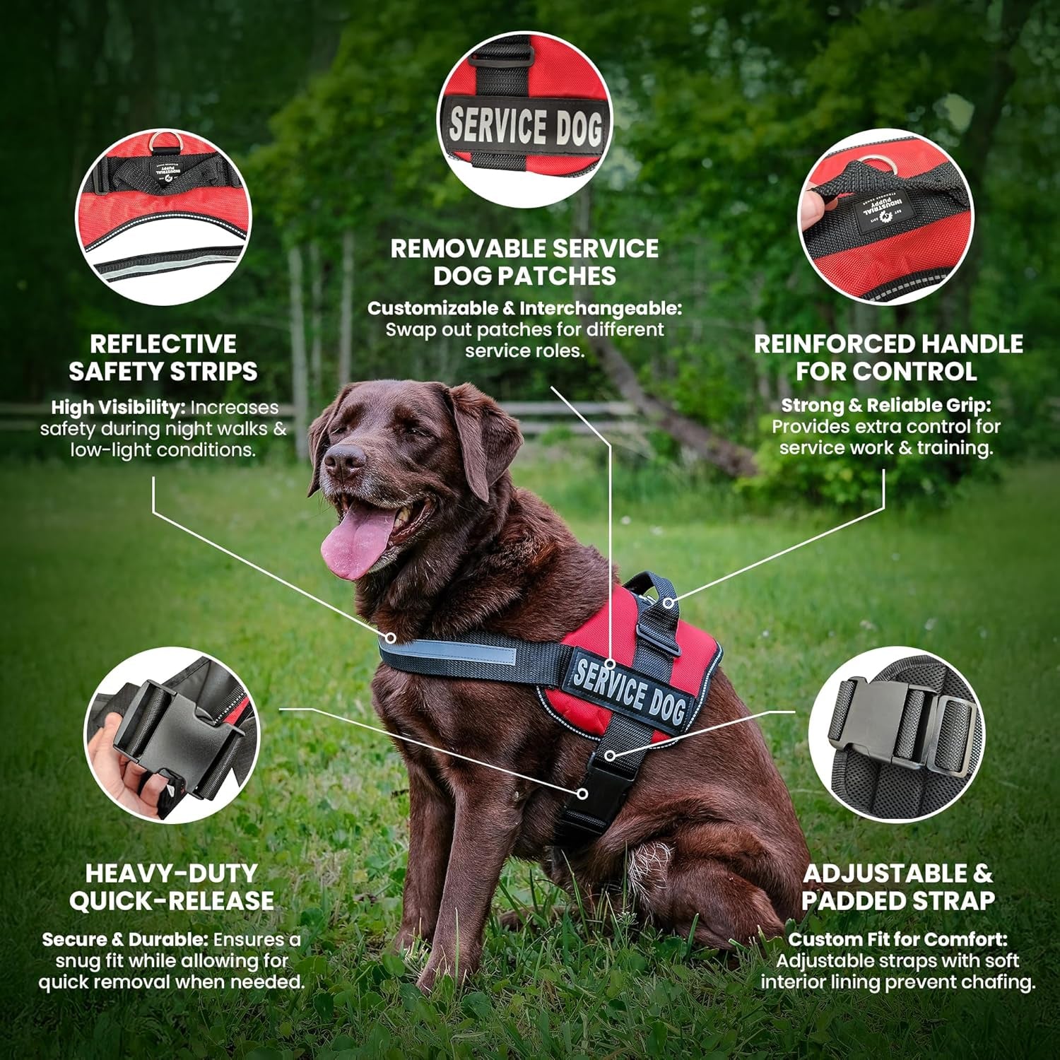 Service Dog Vest with Hook and Loop Straps & Matching Leash Set - Harnesses from XXS to XXL - Service Dog Harness Features Reflective Patch and Comfortable Mesh Design