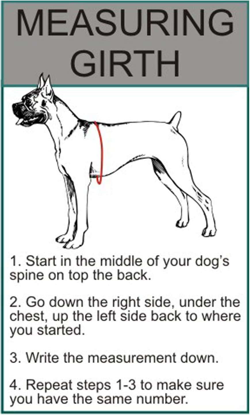 Service Dog Harness Vest Comes with 2 Reflective Service Dog DO NOT PET Patches. Please Measure Dog before Ordering (Girth 19-25", Red)