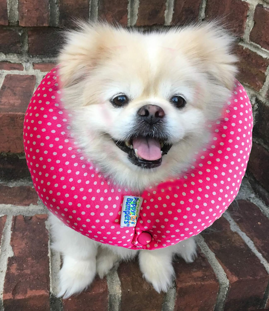Pink Dots up to 10"- Made in USA 100% Cotton Stuffed Safety Fence Collar to Keep Your Pet Safely on the Right Side of the Fence.