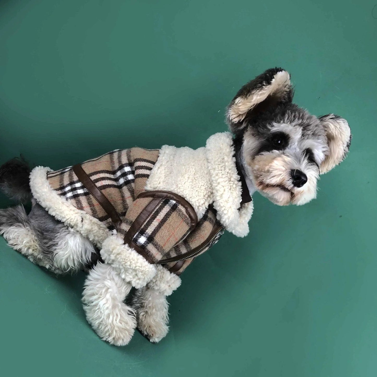 Cozycanine Winterwear: Luxuriously Thickened Dog Clothing for Extra Warmth