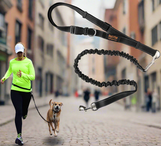 Bungee Waist Dog Leash – Perfect for Running & Walking