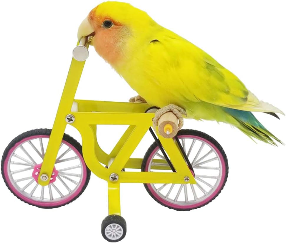 Bird Intelligence Training Toy，Parrot Puzzle Bicycle Toy for Small Medium Bird，Parrot Educational Table Top Trick Prop Toy，Bird Foot Talon Toy for African Grey Cockatoo Eclectus Conures