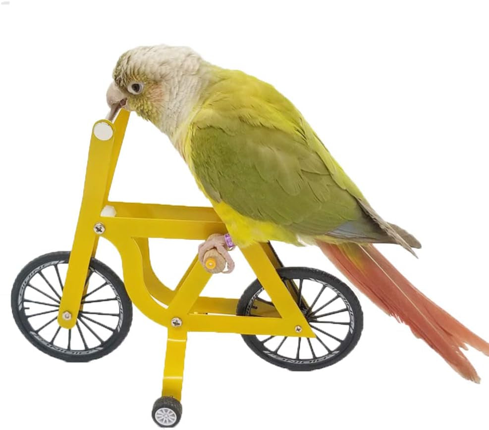 Bird Intelligence Training Toy，Parrot Puzzle Bicycle Toy for Small Medium Bird，Parrot Educational Table Top Trick Prop Toy，Bird Foot Talon Toy for African Grey Cockatoo Eclectus Conures