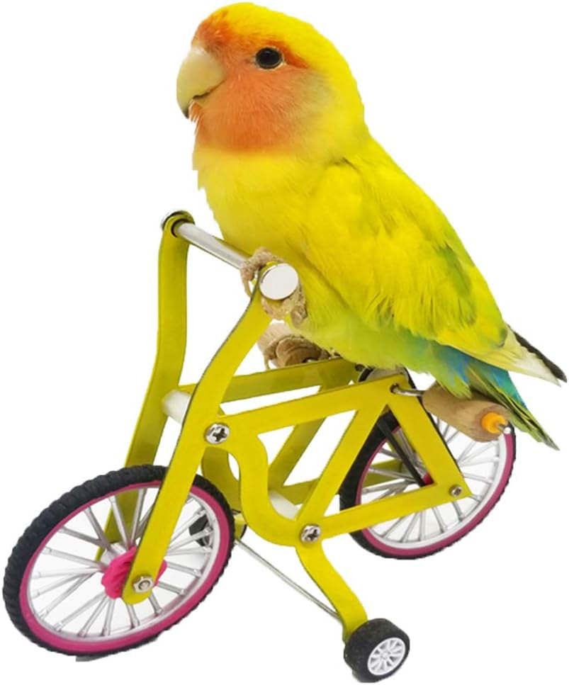 Bird Intelligence Training Toy，Parrot Puzzle Bicycle Toy for Small Medium Bird，Parrot Educational Table Top Trick Prop Toy，Bird Foot Talon Toy for African Grey Cockatoo Eclectus Conures