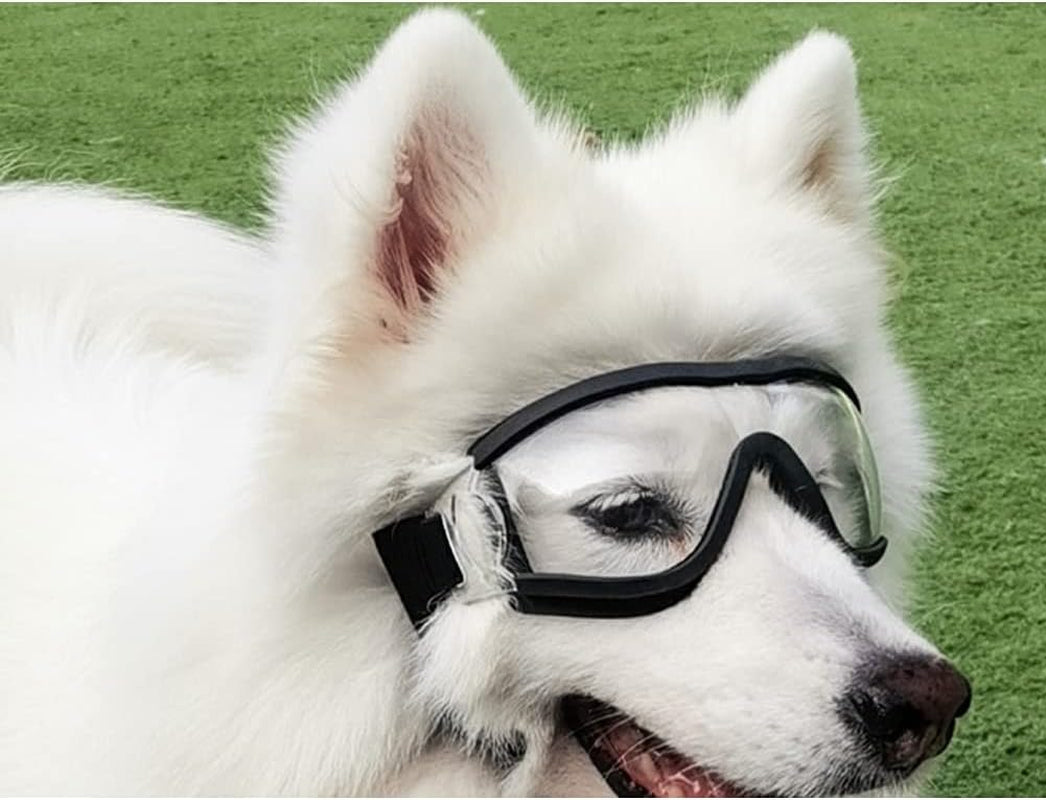 Pet Anti-Uv Glasses Dog Sunglasses Waterproof Dog Glasses Golden Retriever Samoyed Sunglasses Goggles Big Dog Sunglasses (Anti-Uv)