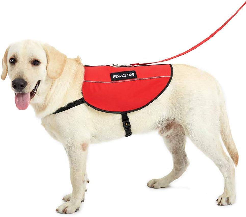 Service Dog Vest, Bright Red Fabric & Reflective Straps,Breathable&Soft Mesh Padded Harness,2 Free Removable Service Dog Patches,Xxs Girth 11-14"