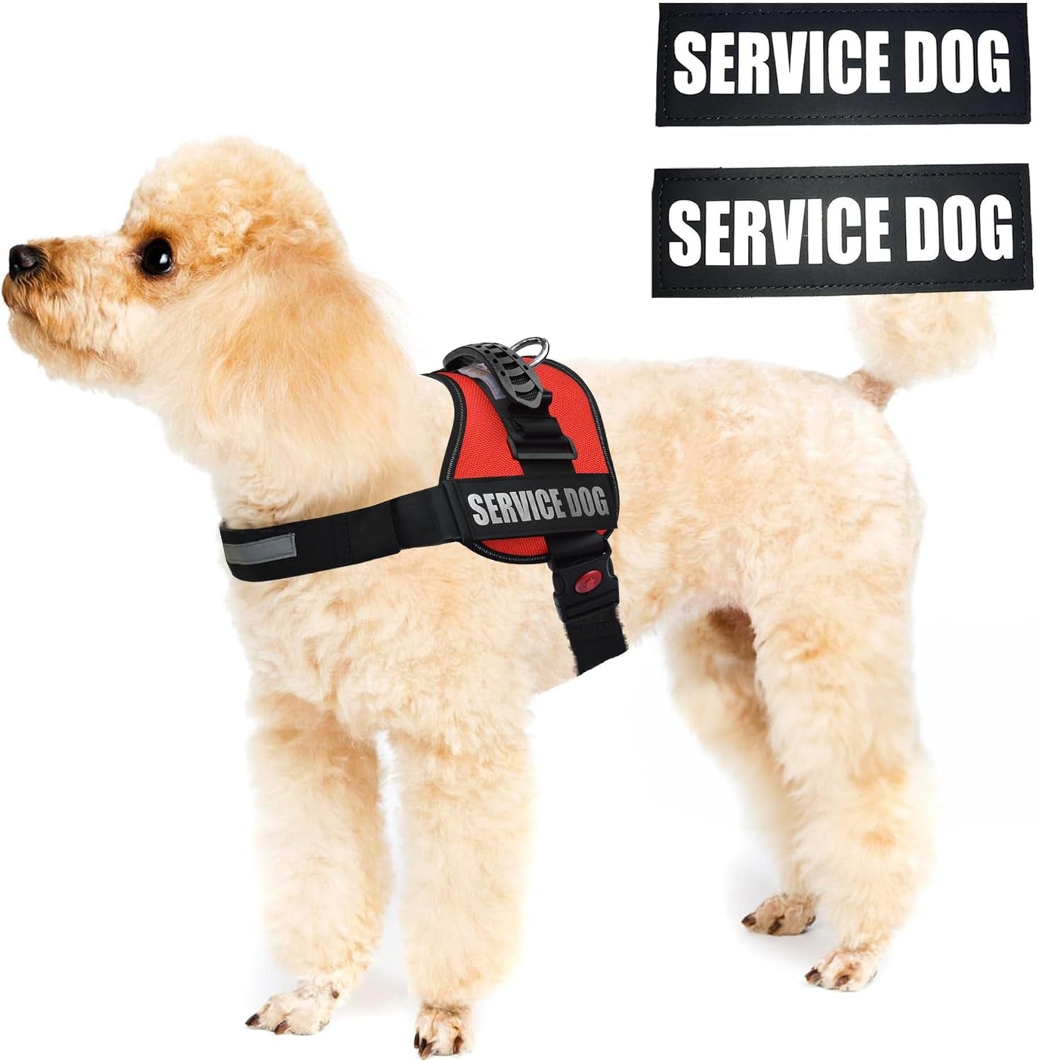 Service Dog Vest Harness - Reflective Woven Nylon, Comfy Mesh Padding - Sizes from XXS to XL – Service Dog Patches Included, XXS, Red