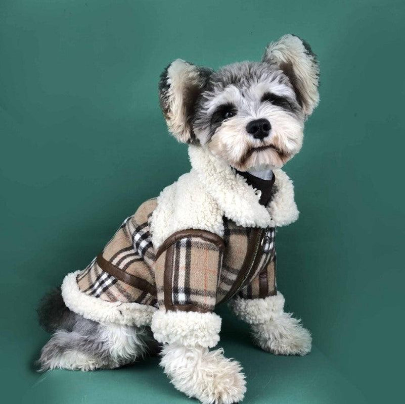 Cozycanine Winterwear: Luxuriously Thickened Dog Clothing for Extra Warmth