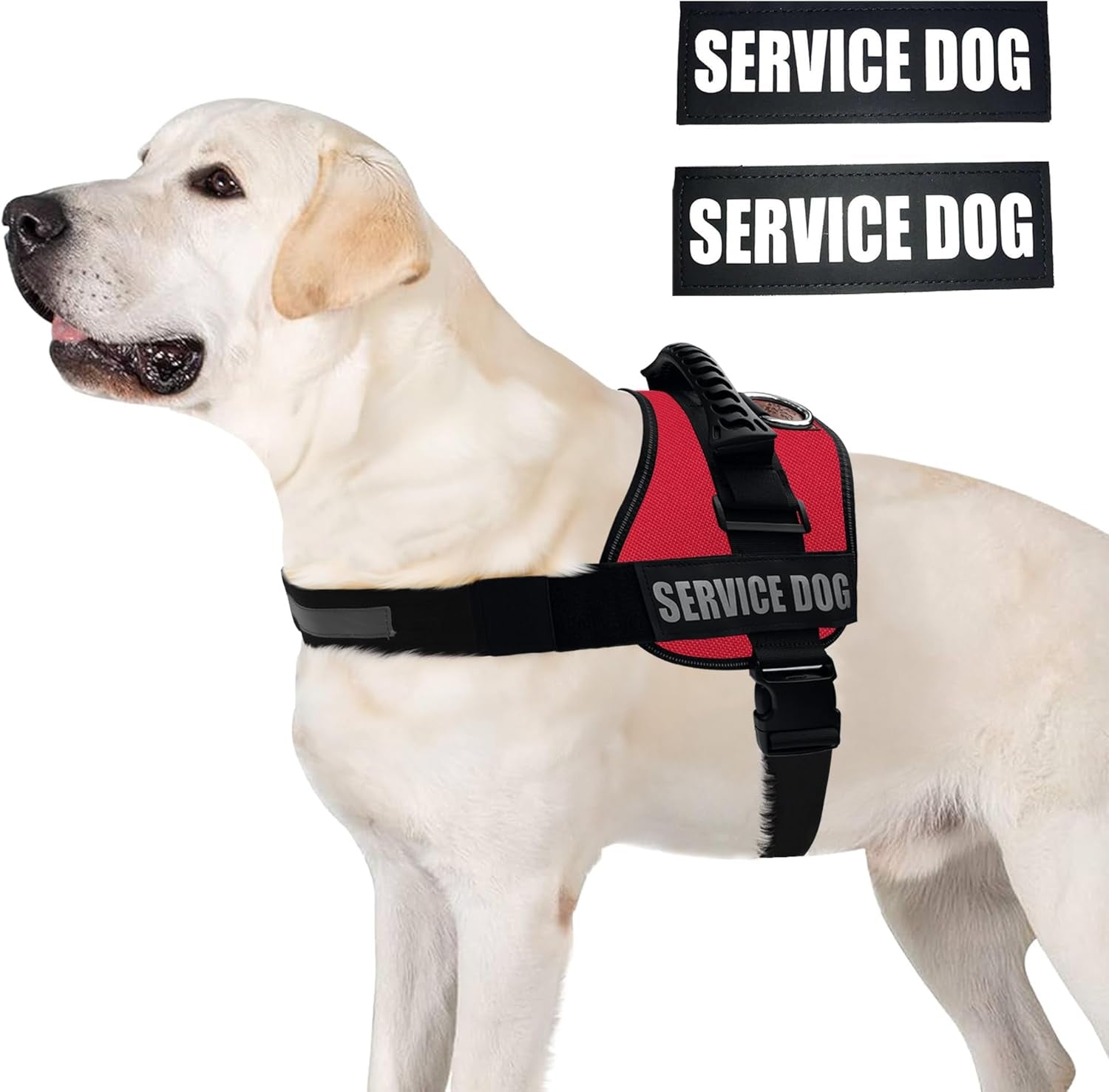 Service Dog Vest Harness - Reflective Woven Nylon, Comfy Mesh Padding - Sizes from XXS to XL – Service Dog Patches Included, XXS, Red