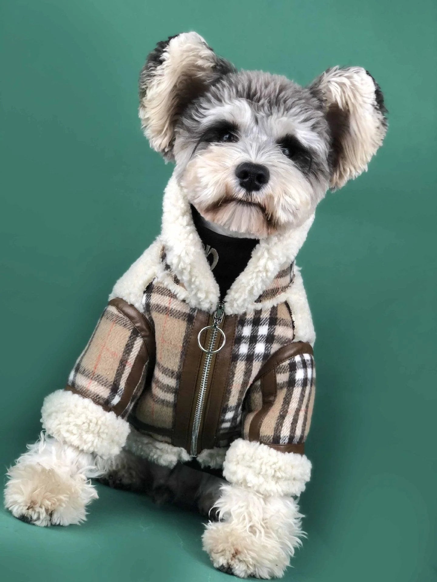 Cozycanine Winterwear: Luxuriously Thickened Dog Clothing for Extra Warmth