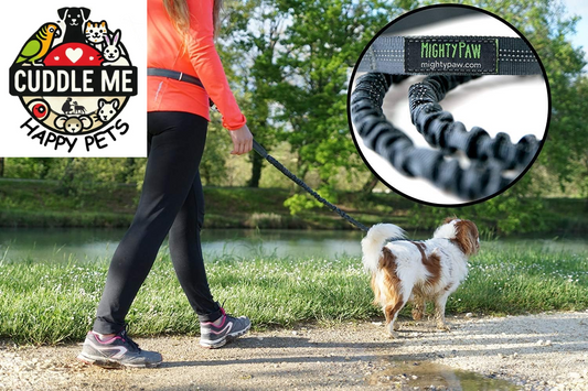 Hands Free Dog Leash | Bungee Waist Leash for Dog Walking. Pet Running Hands Free Tether for Large, Medium & Small Breeds. Pet Waist Belt (36" - 48") up to 150 Lbs - Gray