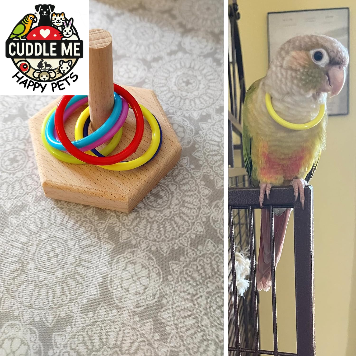 Bird Training Ring Toy, Parrot Trick Tabletop Toys, Bird Educational Toys, Stacking Color Rings,Bird Cage Toys
